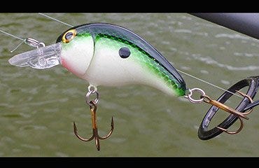 crankbait line for Sale OFF 76%