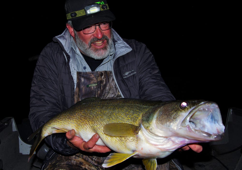 Ron Boggs Walleye