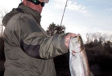 Trout Fishing Tips