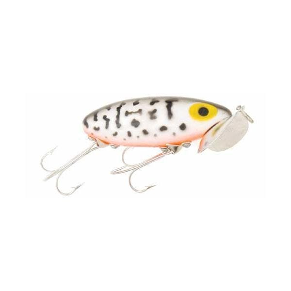 Arbogast Jitterbug Fishing Lure - Coach Dog/Orange Belly - 2 1/2 in