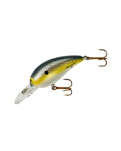 Foxy Shad