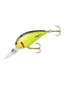 Golden Shiner