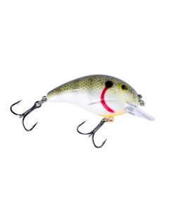 Yellow Shad Splatterback