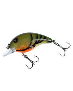 Orange Belly Craw