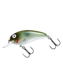 Green Pearl Shad