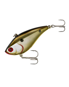 Gold Shiner