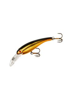 Gold/Black
