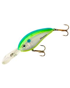 D Citrus Shad