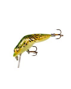 Northern Leopard Frog