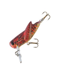 Fire Cricket