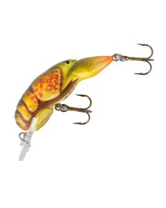 Winter Craw