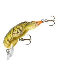 Gully Craw