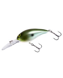 Olive Blue