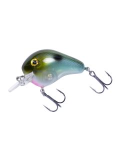 Olive Blue