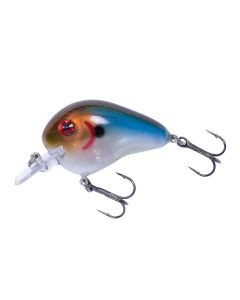 Rainbow Shad