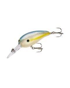 SEXY SHAD