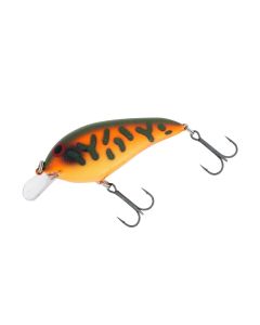 Olive Orange Craw