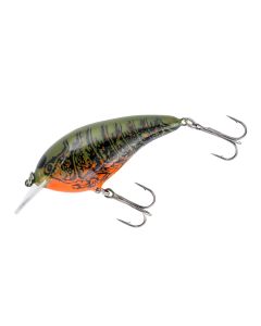 Orange Belly Craw