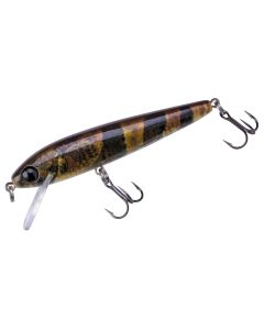 Rebel Lure Company - A Rebel Hellgrammite sinks and has a subtle action,  both features that make it a good option for fishing late in the year, when  cooler water slows fish