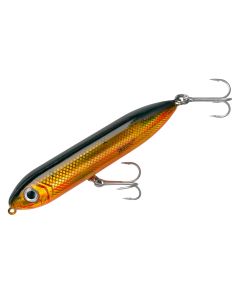 Golden Shiner