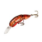 Cajun Crawdad 