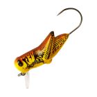 Yellow Grasshopper
