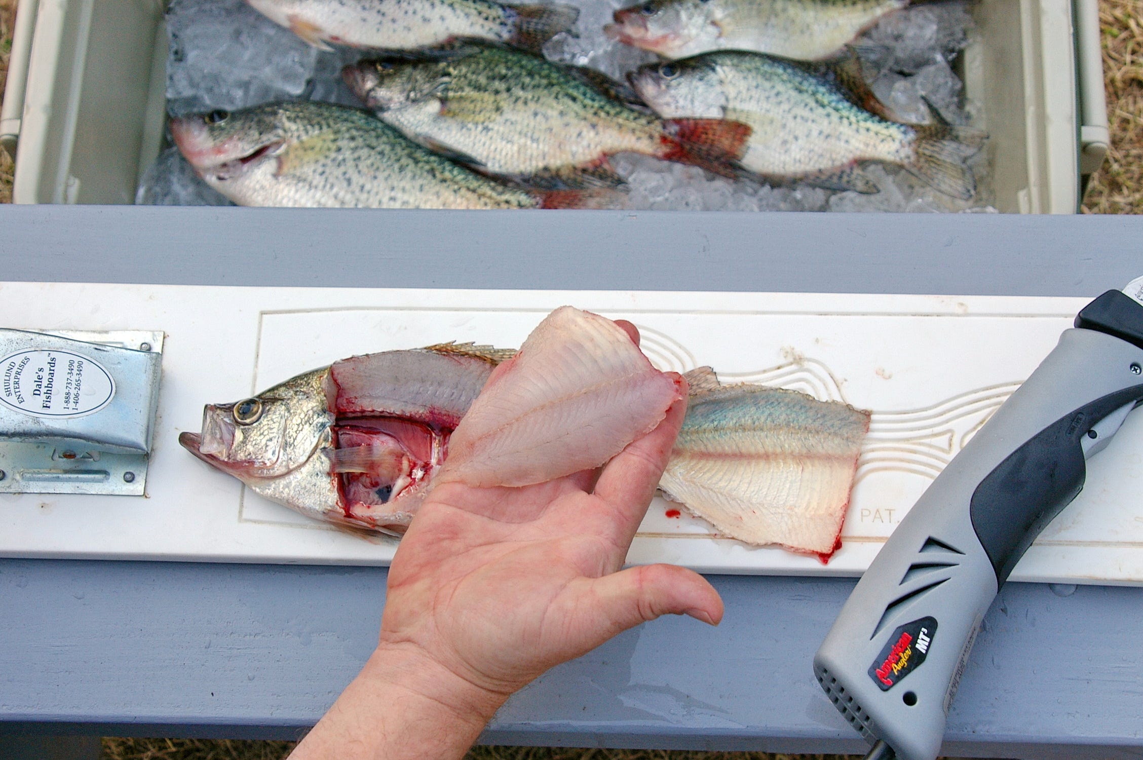 fish filleting steps