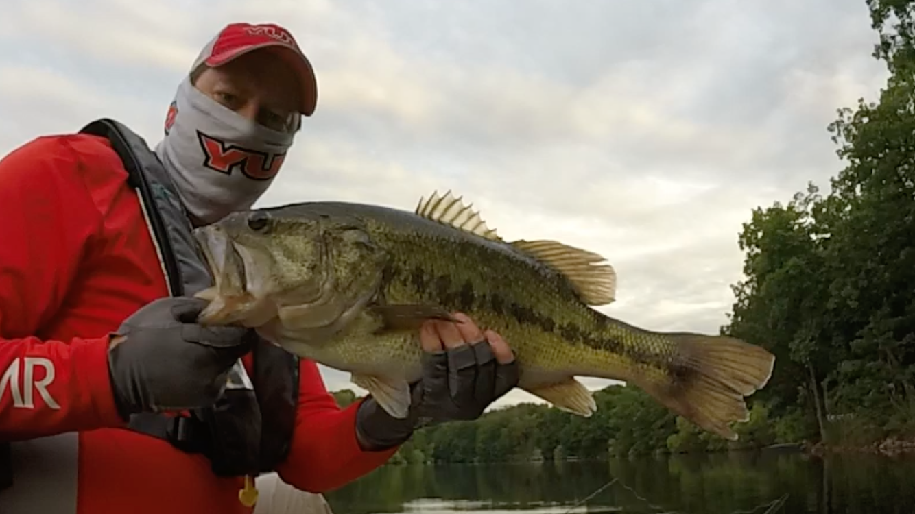 Catching HUGE Bass on Buzzbaits 