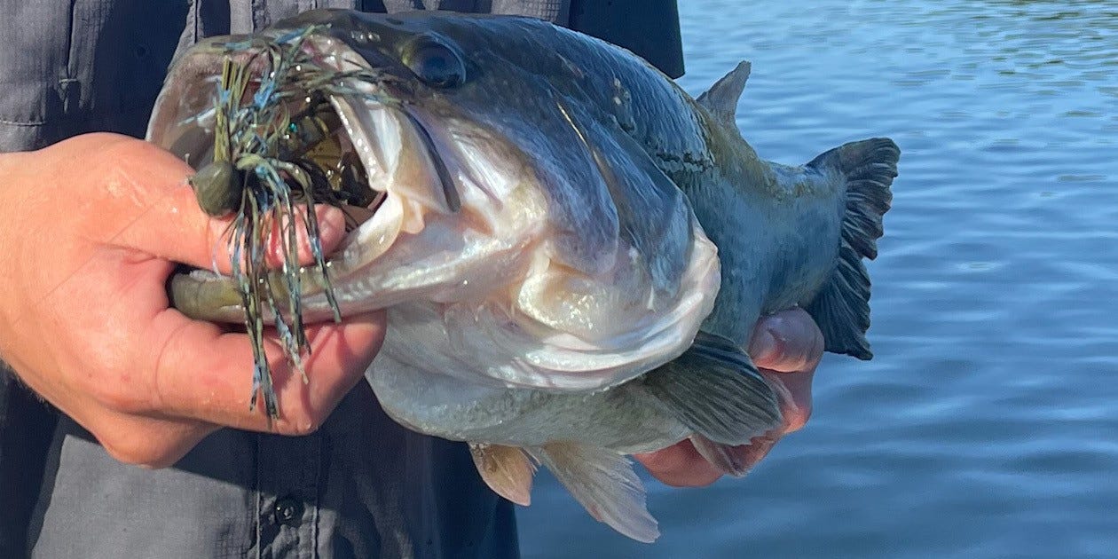 largemouth bass or Pro Football Jig