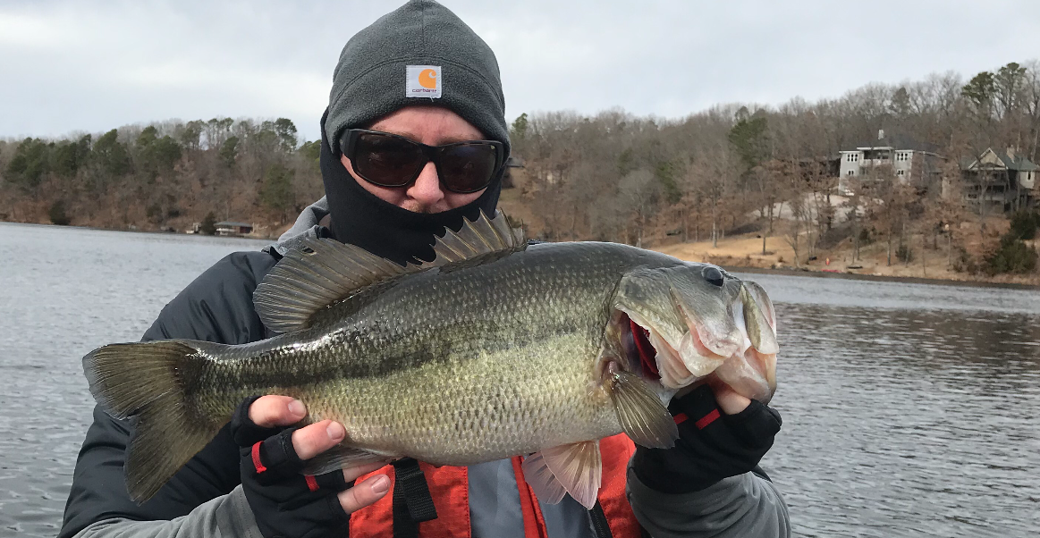 winter largemouth bass