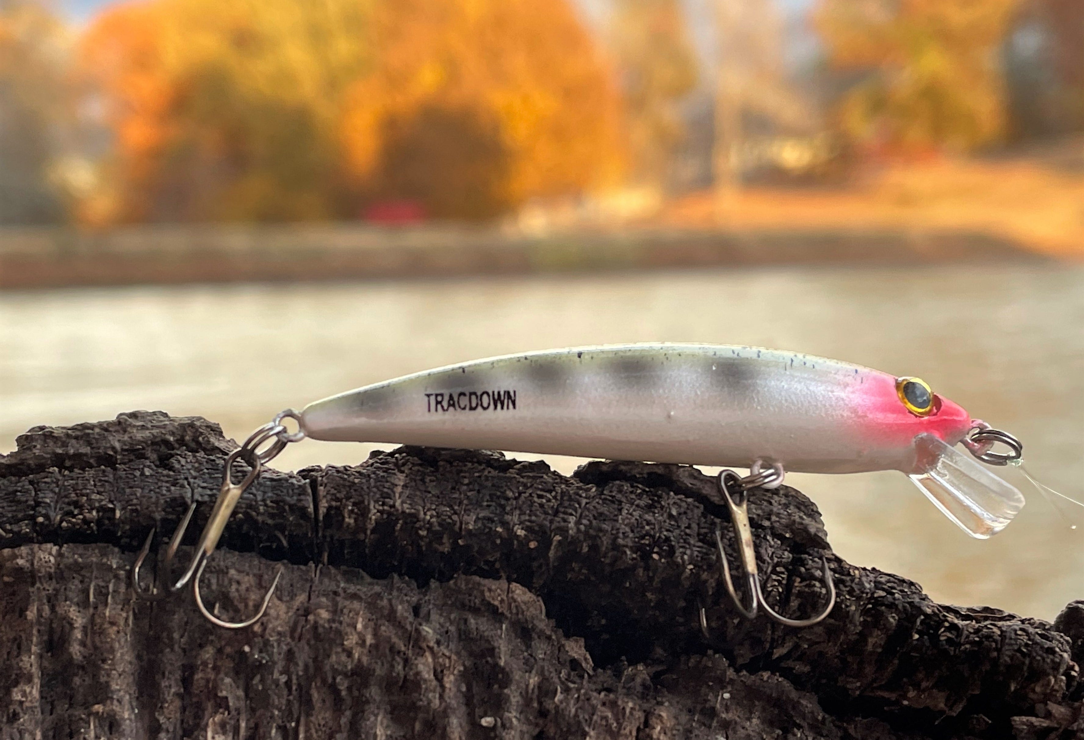 Rebel Tracdown Ghost Minnow