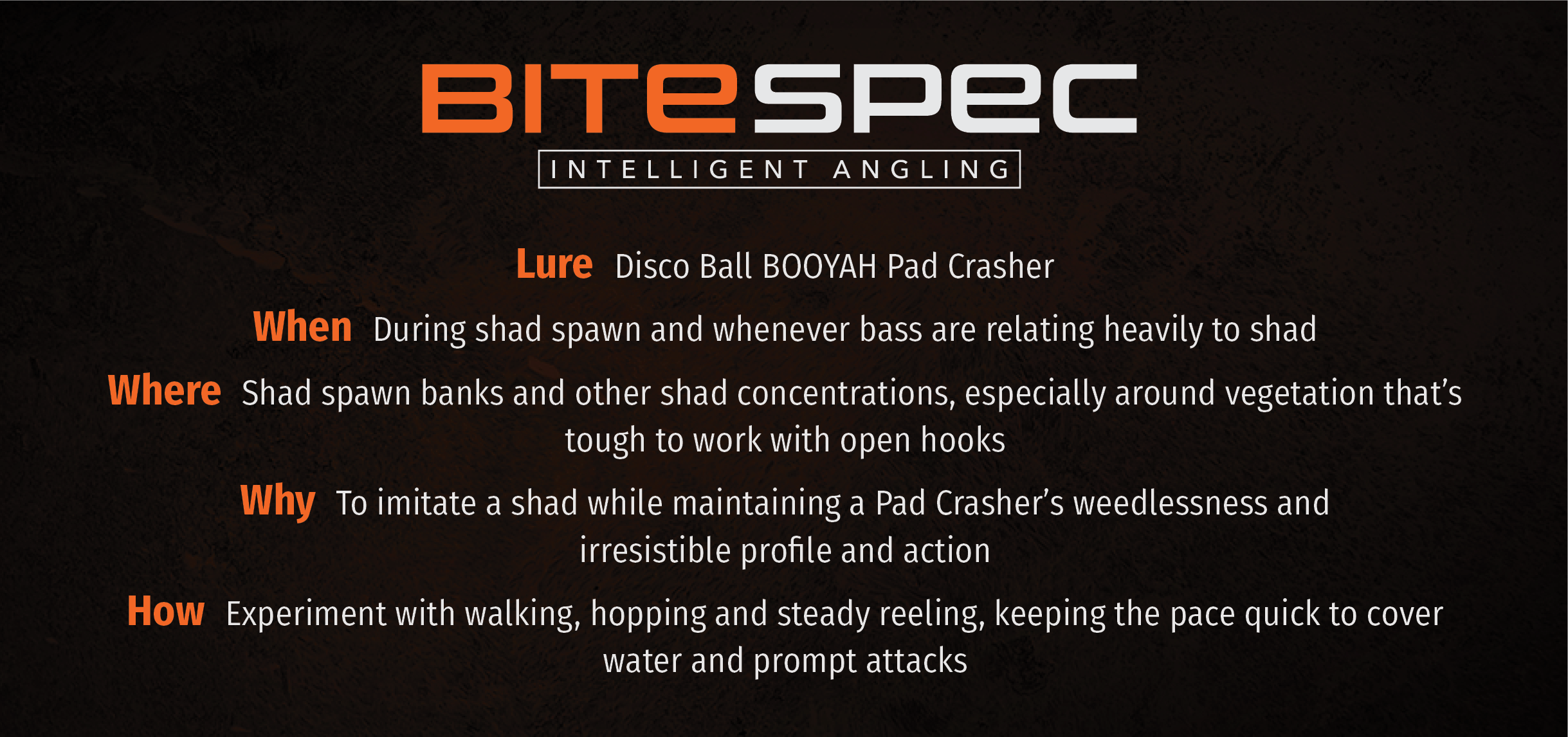 Disco Ball Pad Crasher Bite Spec