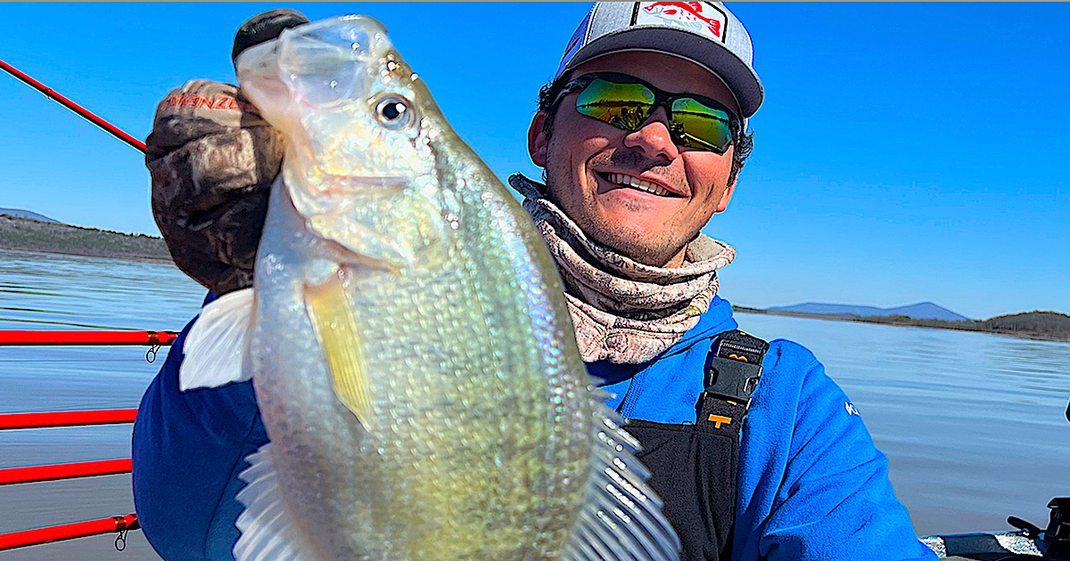 BIG WHITE CRAPPIE OF GRENADA LAKE- Spider rigging the white hubcaps! 