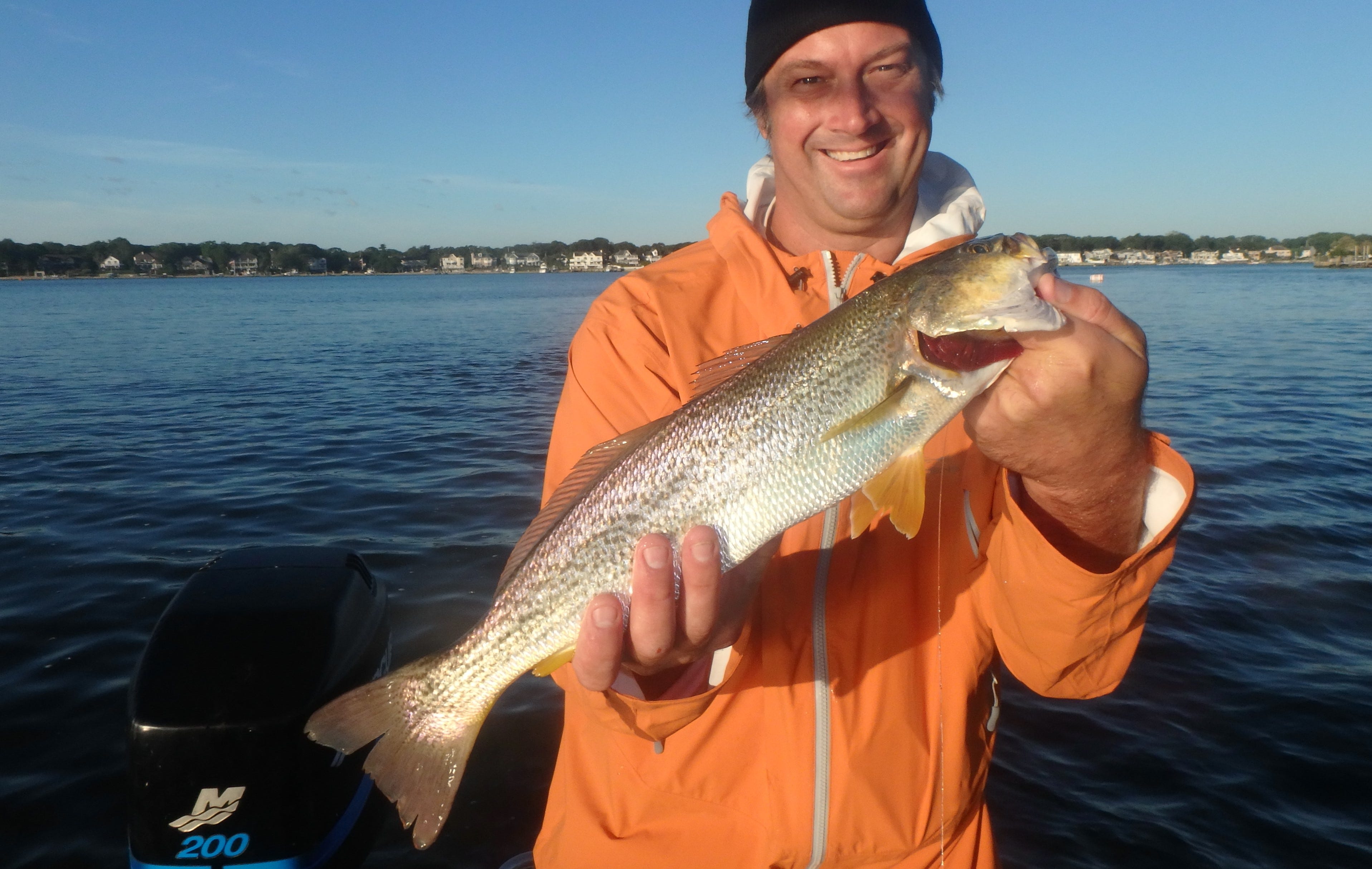 weakfish catch