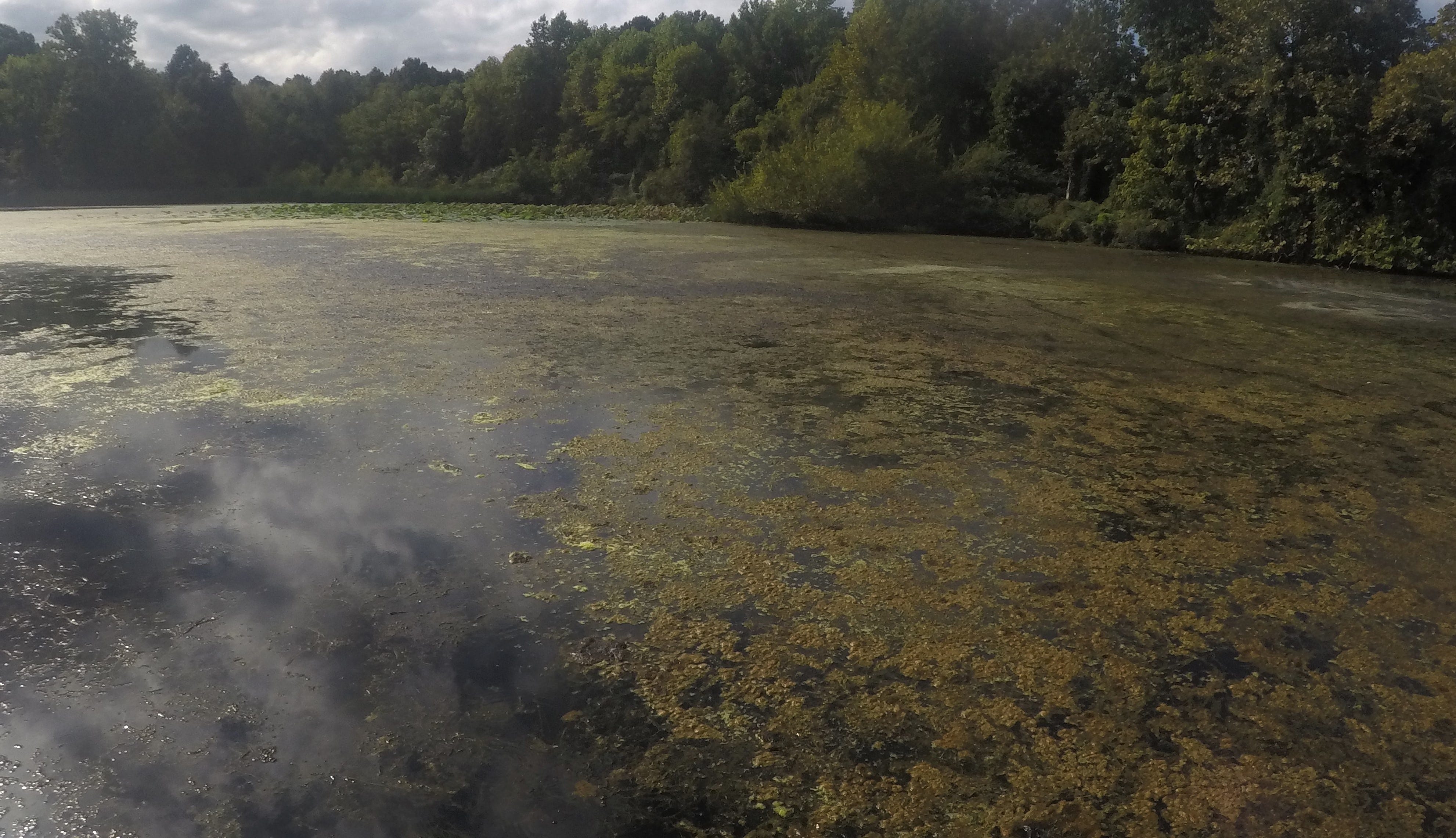 frog fishing waters