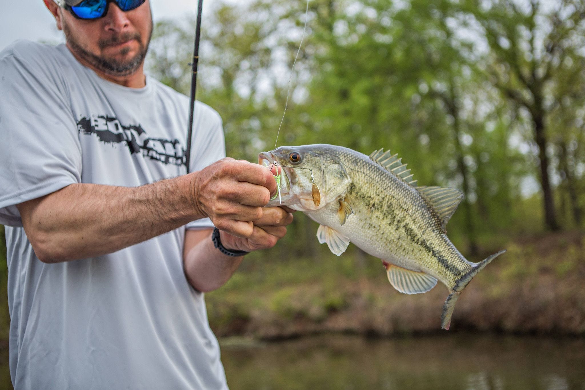 How to Improve Your Spinnerbait Bass Fishing Efficiency