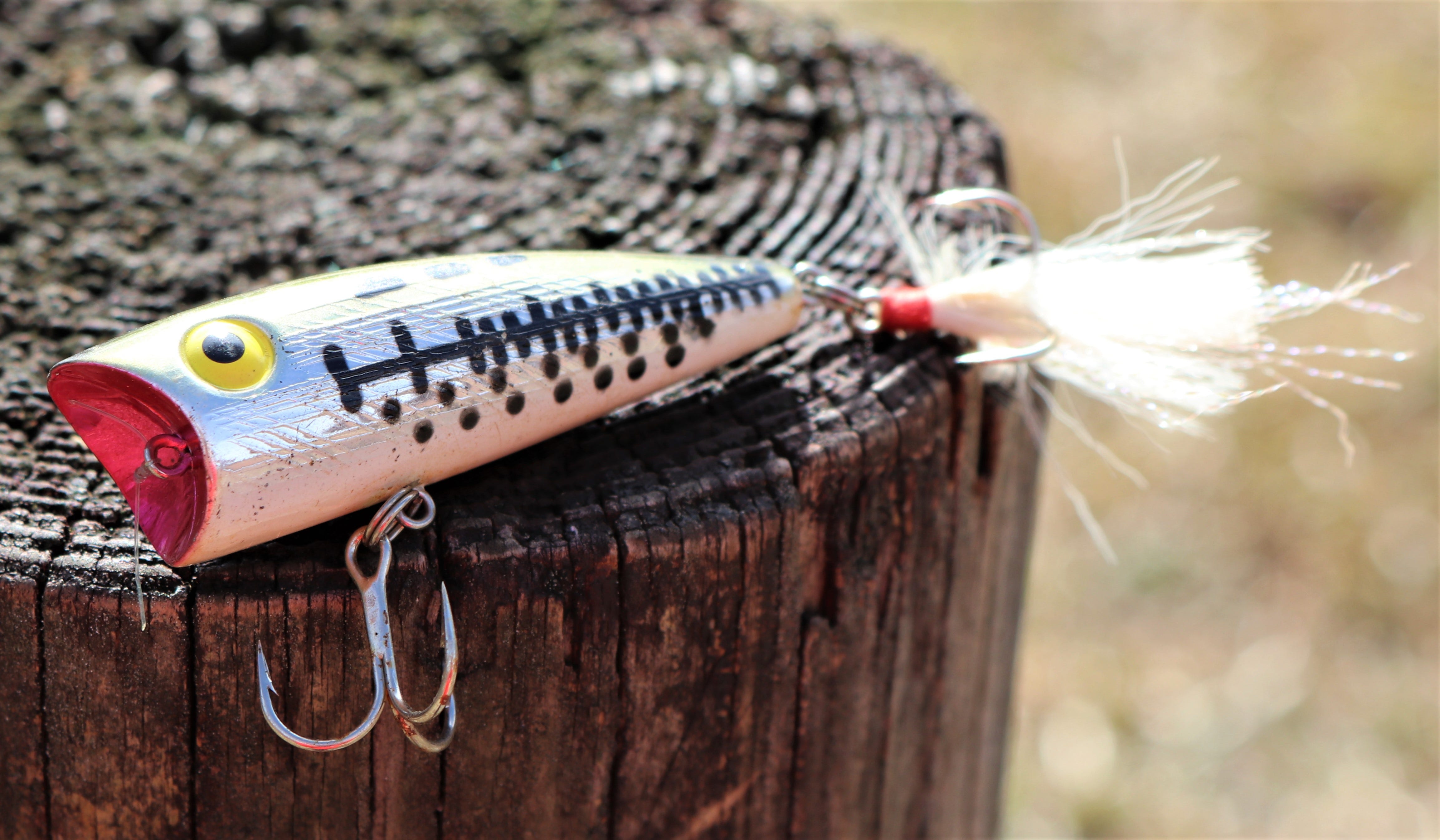 Rebel Pop-R 1/4 oz Fishing Lure Ol Bass 1/4 oz.