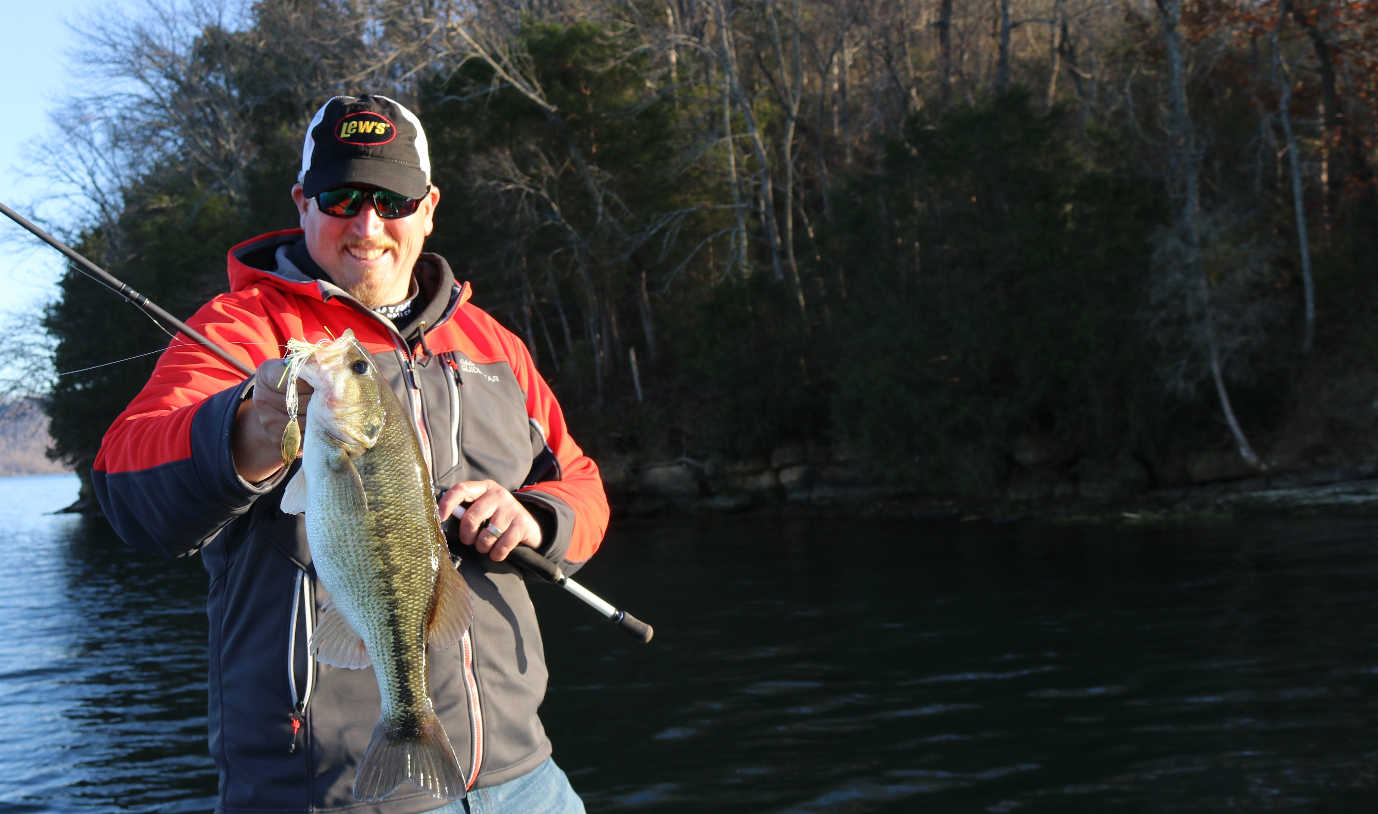 spinnerbait bass