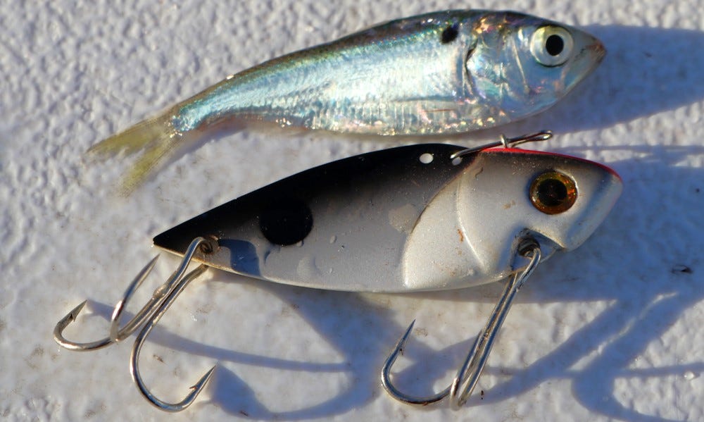 shad and blade bait