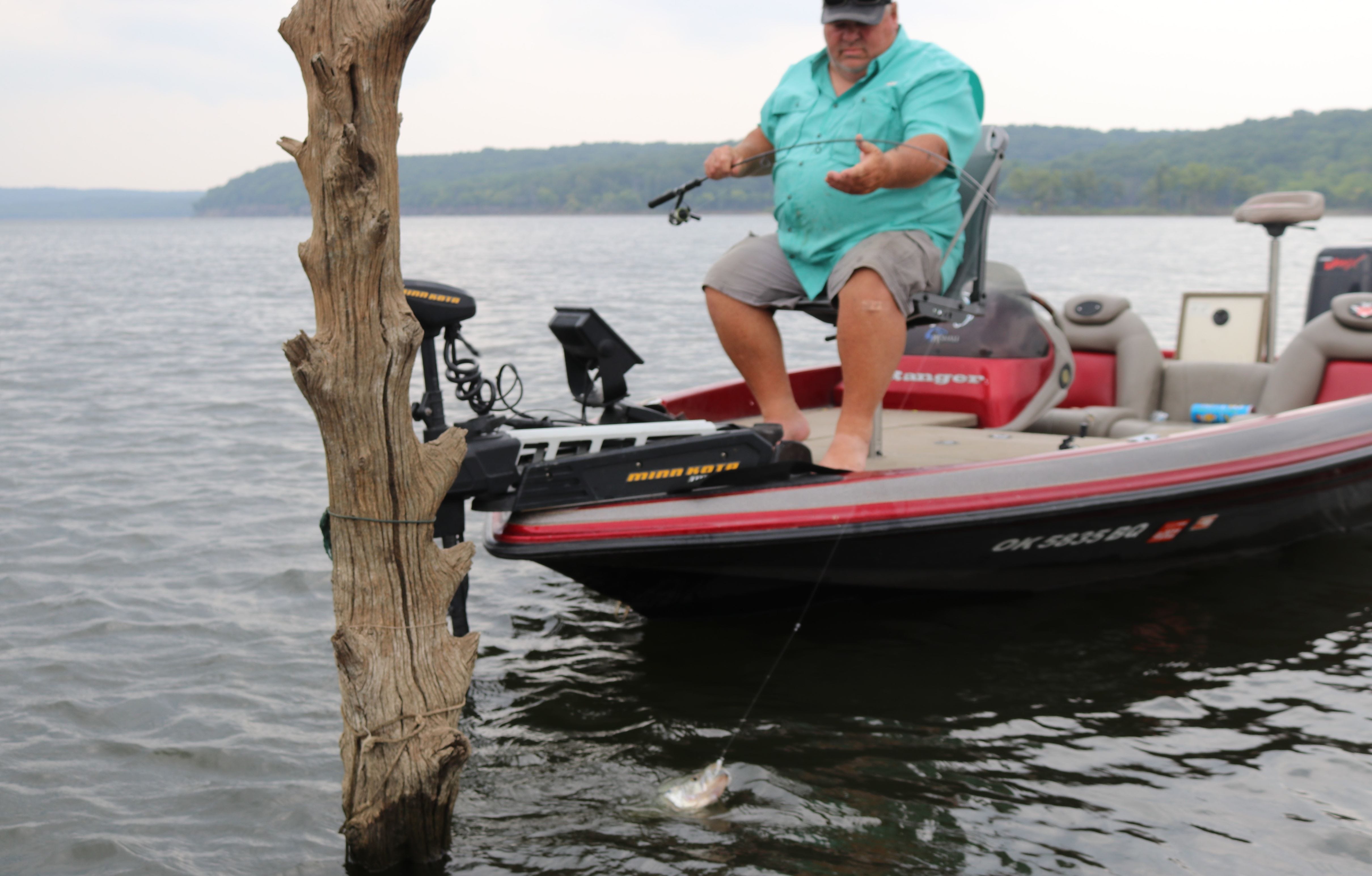 crappie from flooded timber
