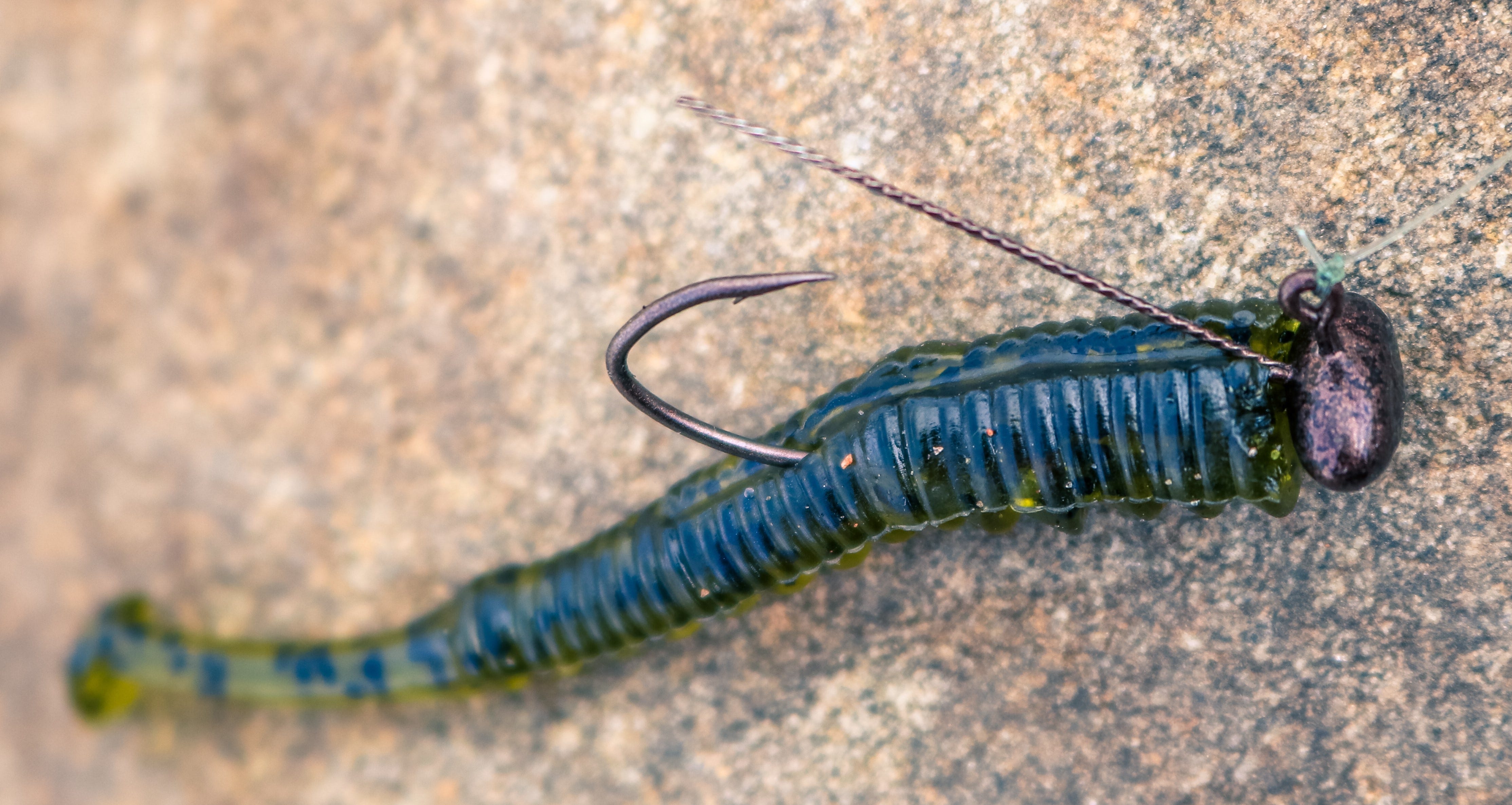 Ned rigged plastic worm