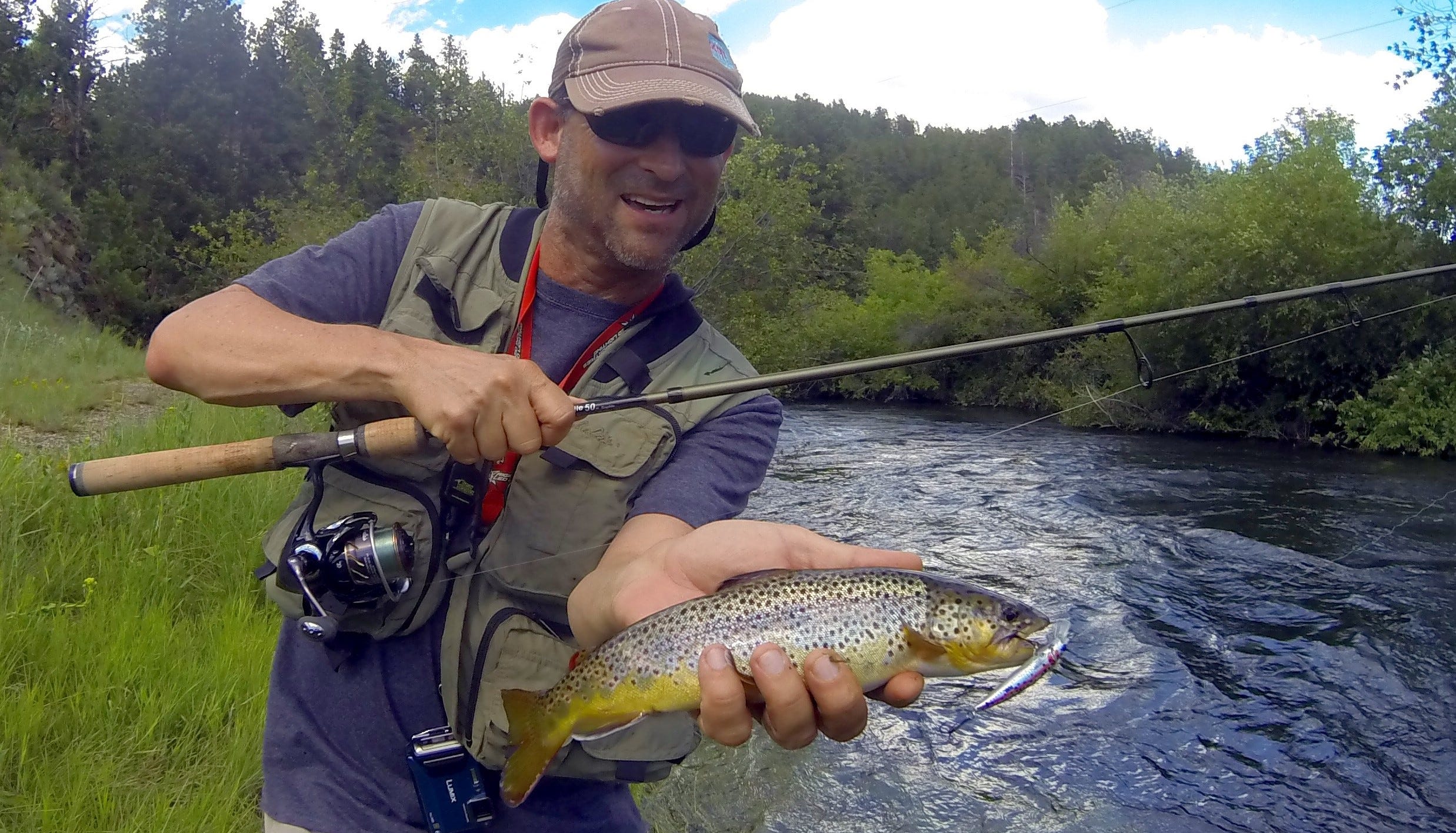 brown trout caught on minnow lure