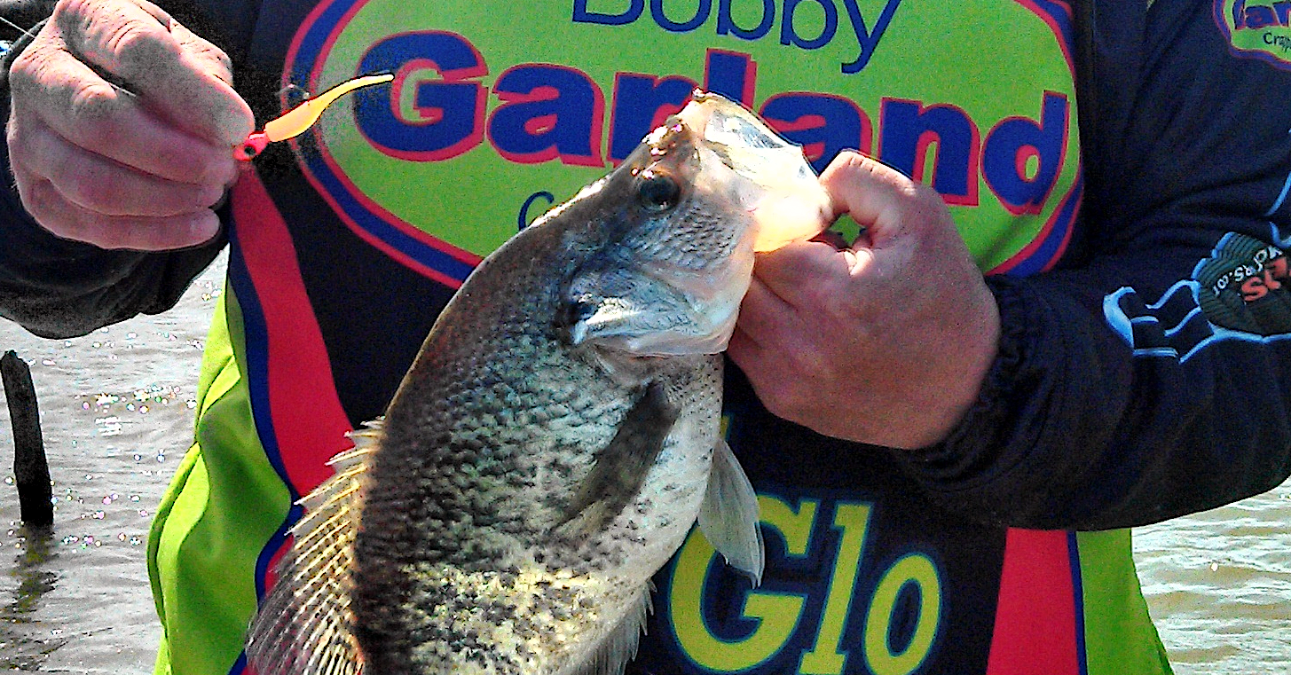 crappie on Baby Shad