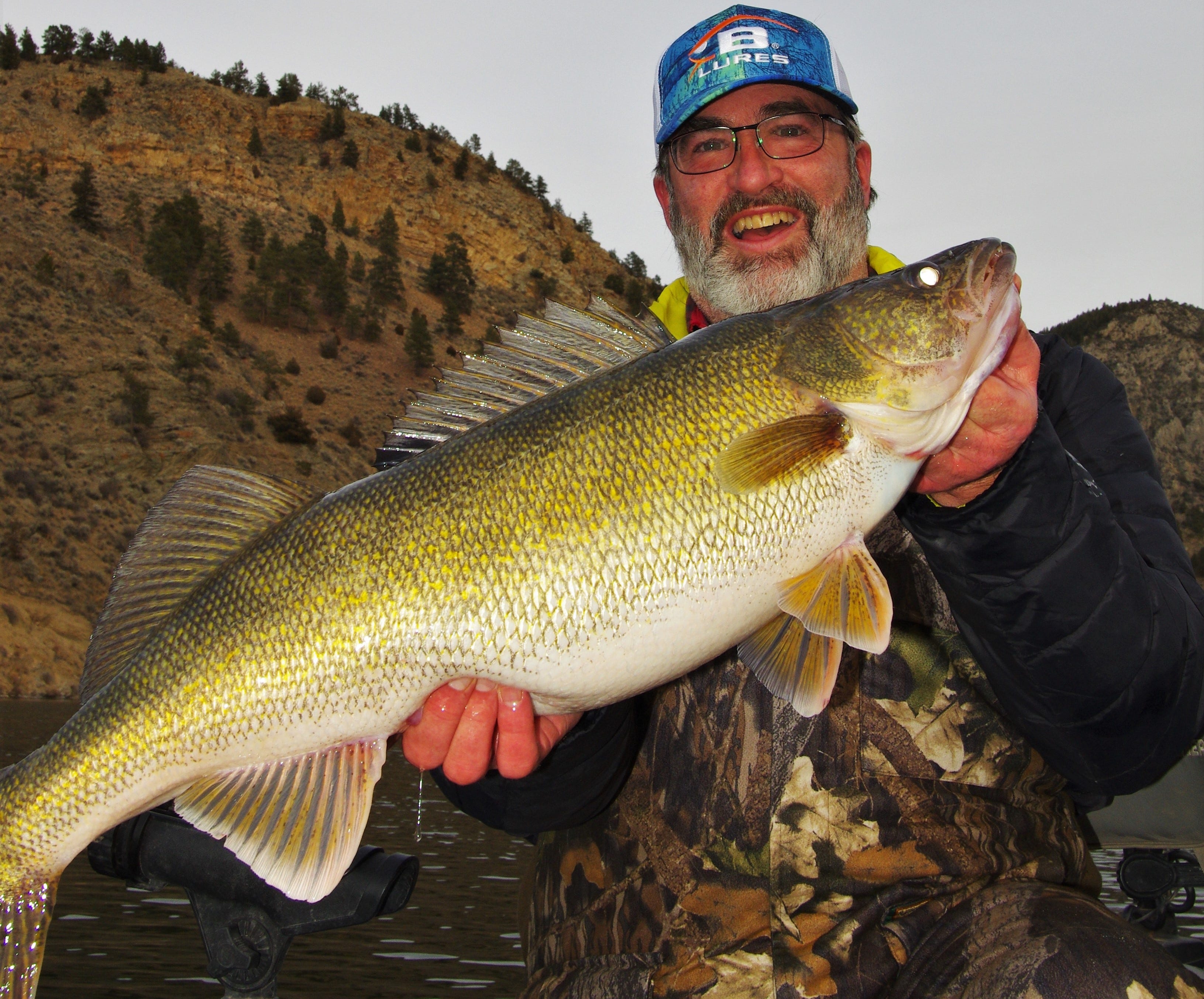 fat walleye catch