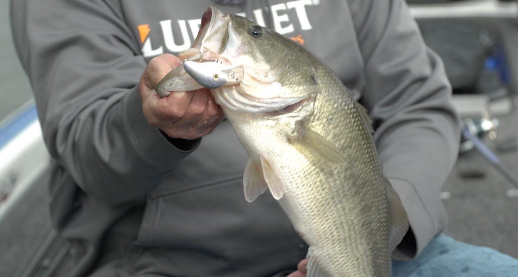 bass on Norman Fat Boy