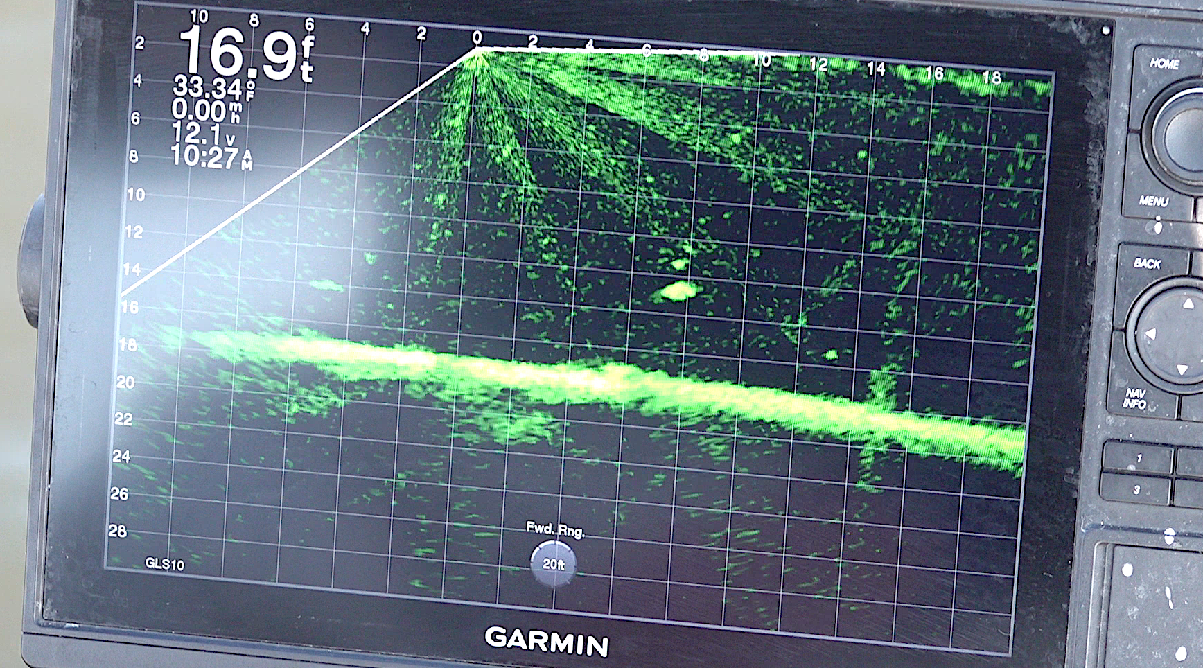 crappie on LiveScope