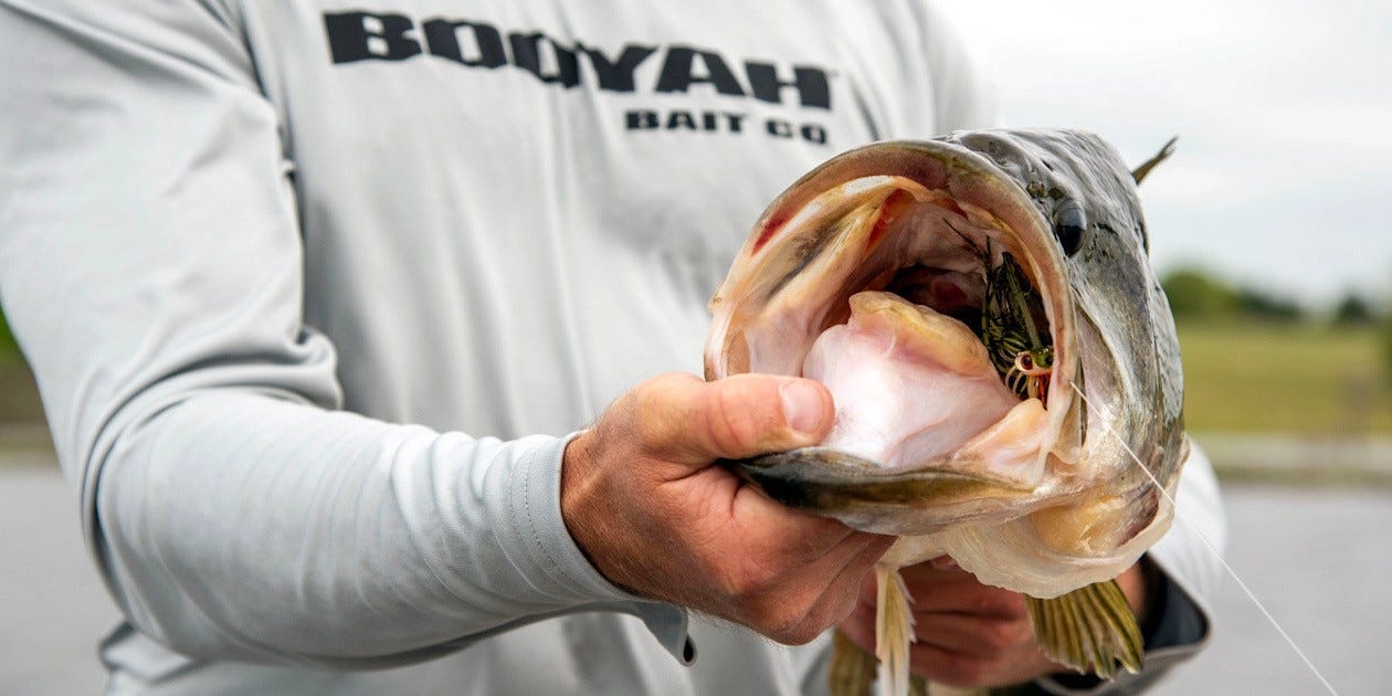 largemouth bass on swim jig