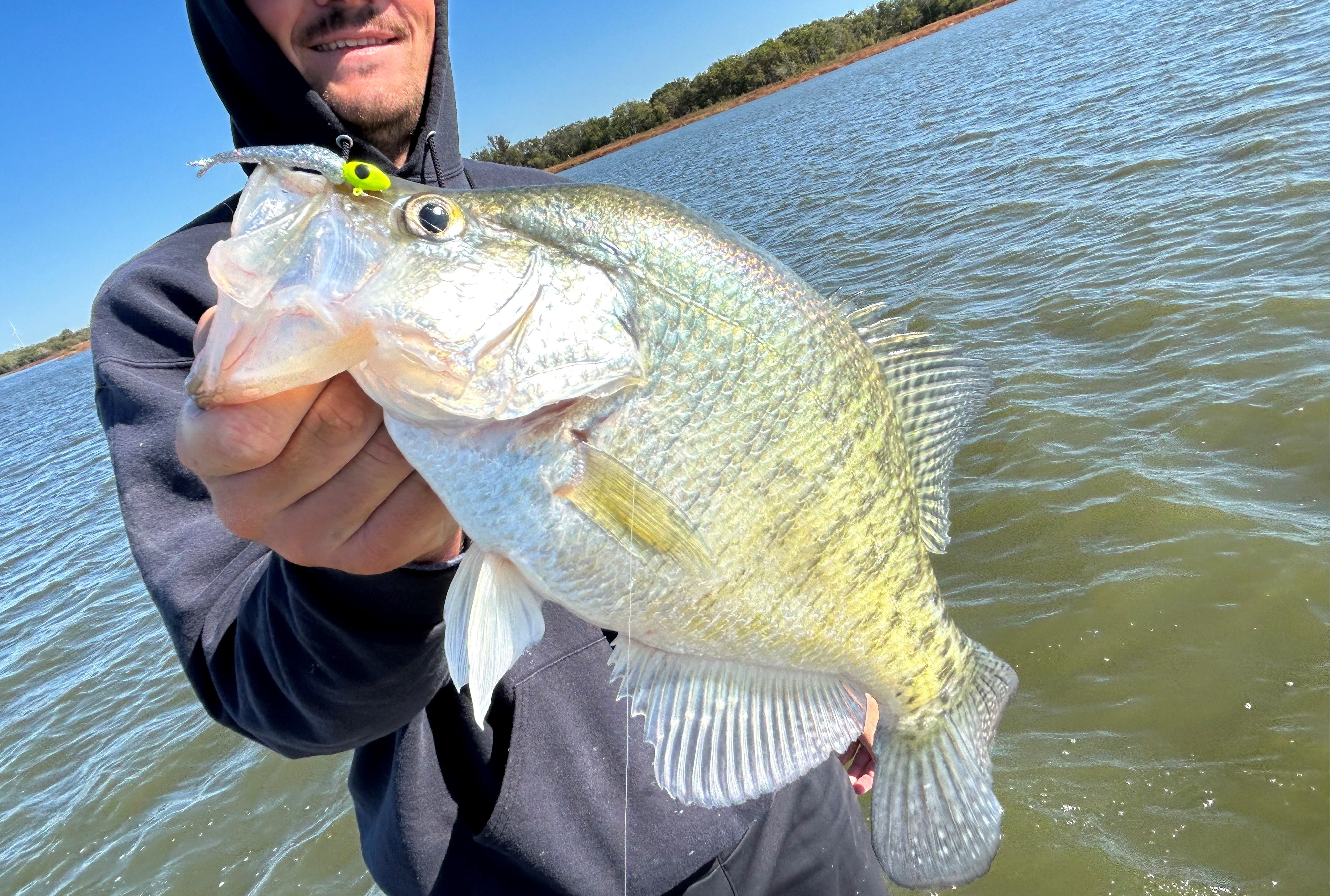 fall crappie catch