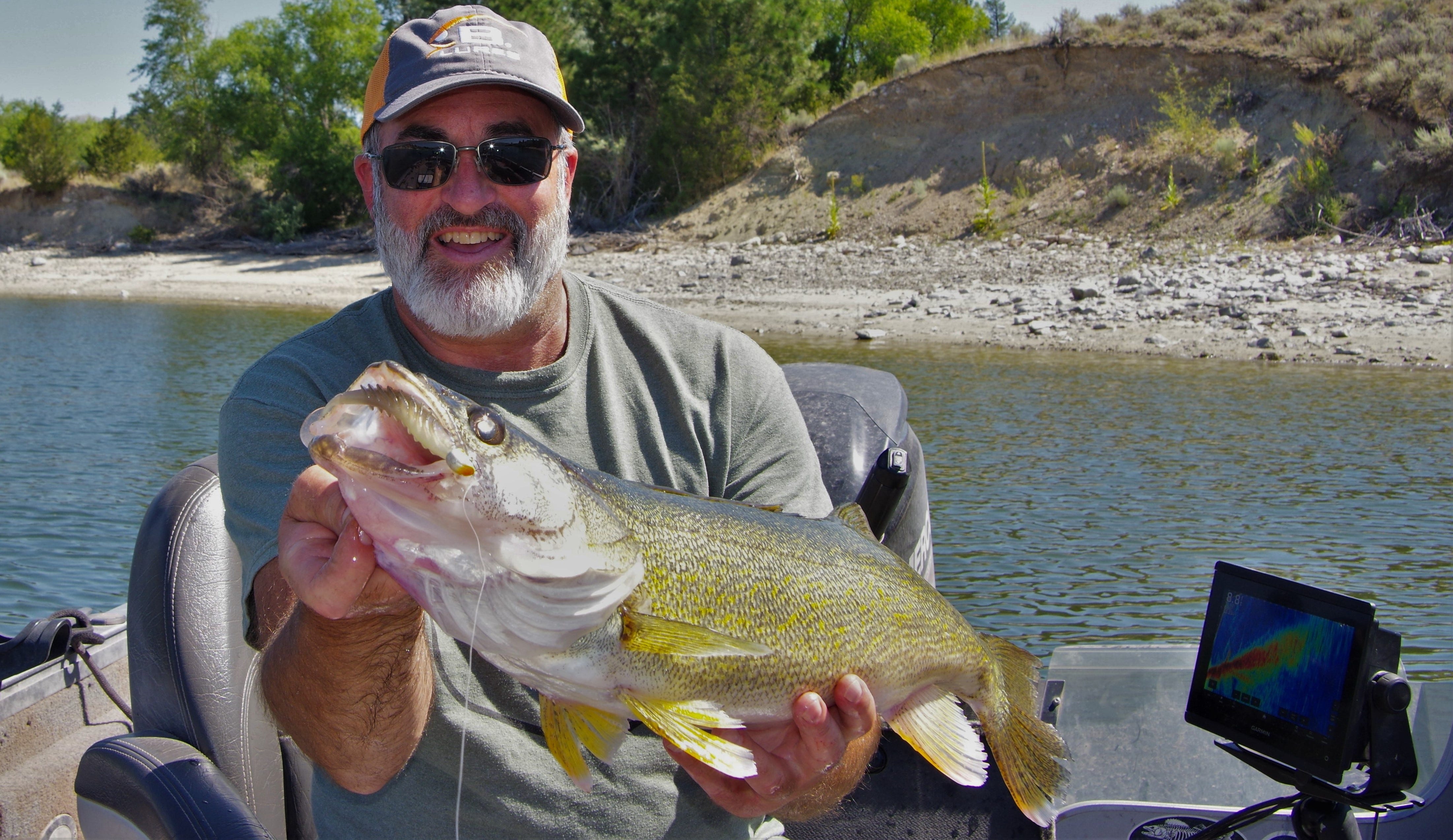 walleye on YUM Pulse swimbait