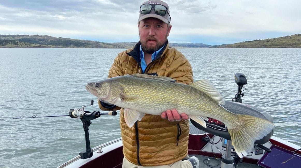 walleye catch